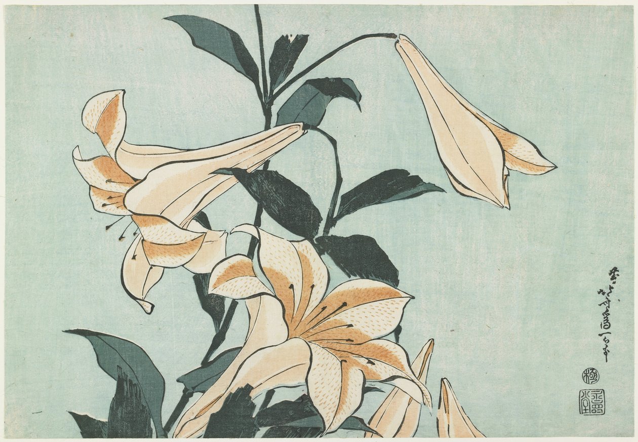 Lys, vers 1832 - Katsushika Hokusai