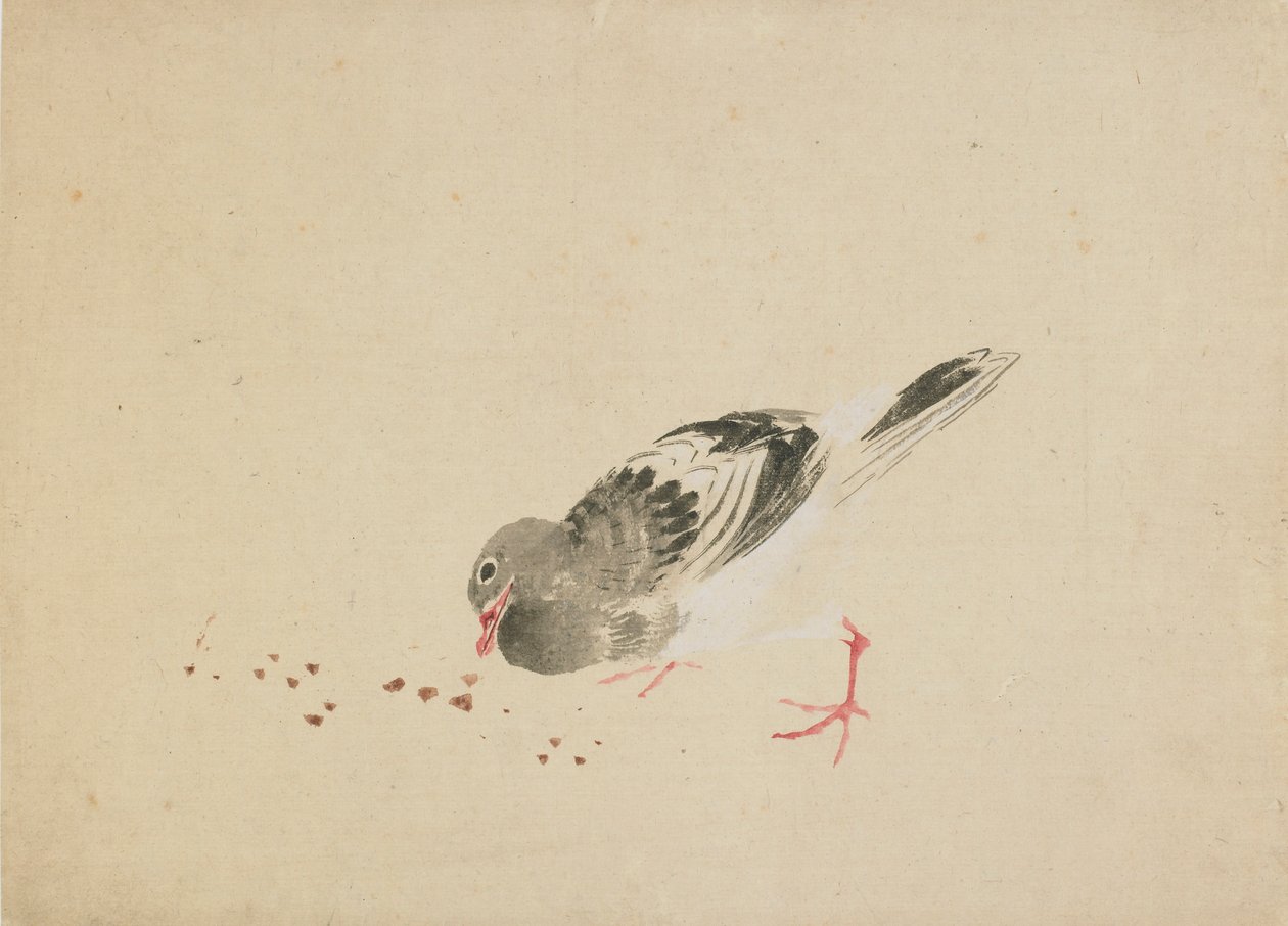 Pigeon, fin du XVIIIe-début du XIXe siècle - Katsushika Hokusai