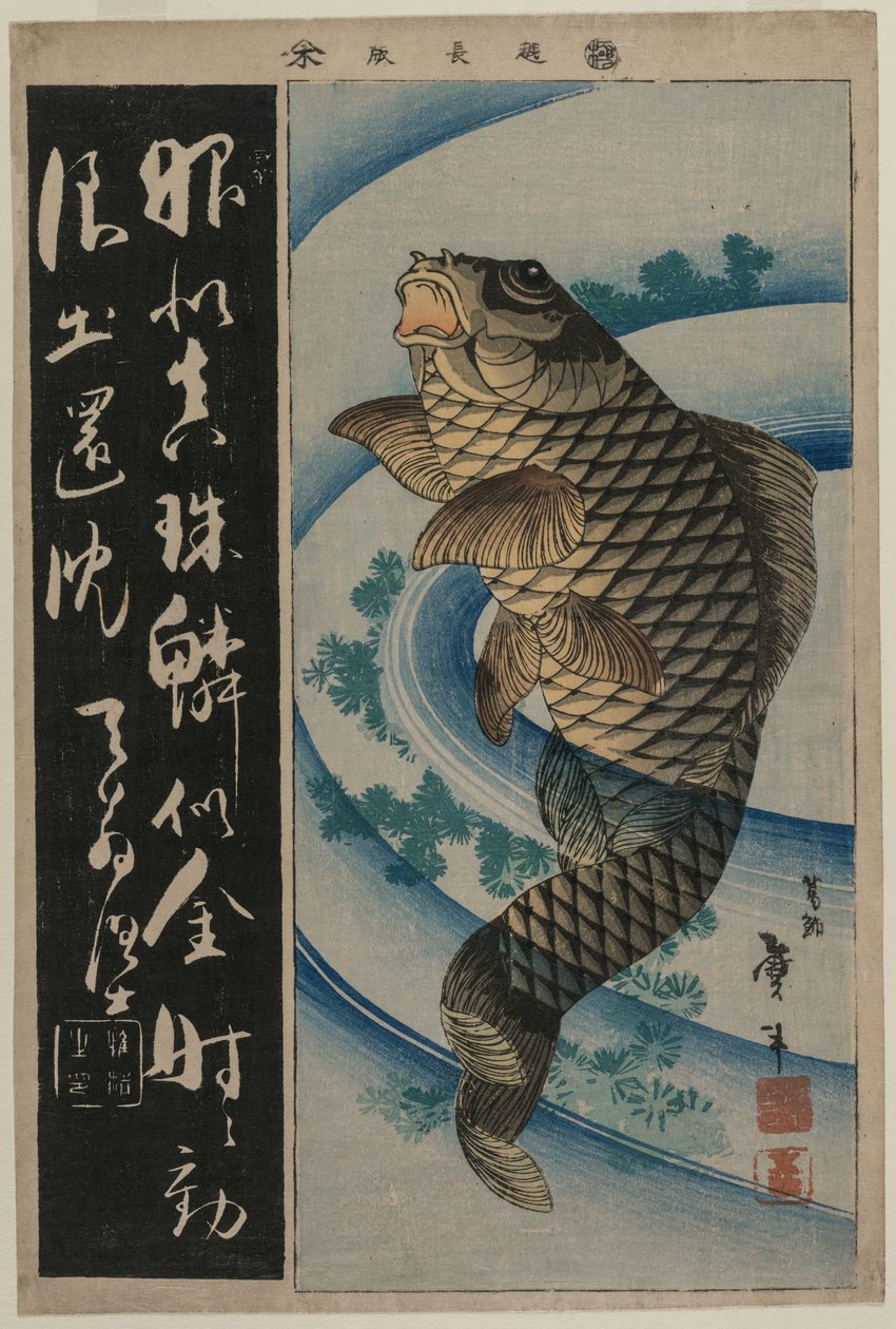 Carpes et herbes aquatiques, début des années 1830 - Katsushika Taito II