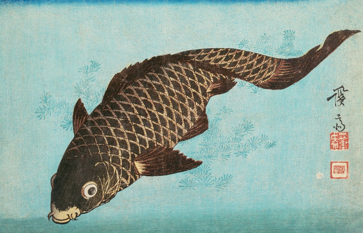 Koi, pub.1842 - Keisai Eisen