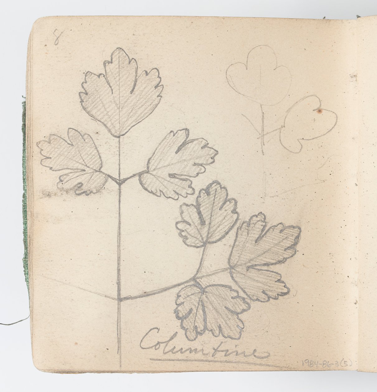 Page de carnet de croquis : Colombine - Kenyon Cox