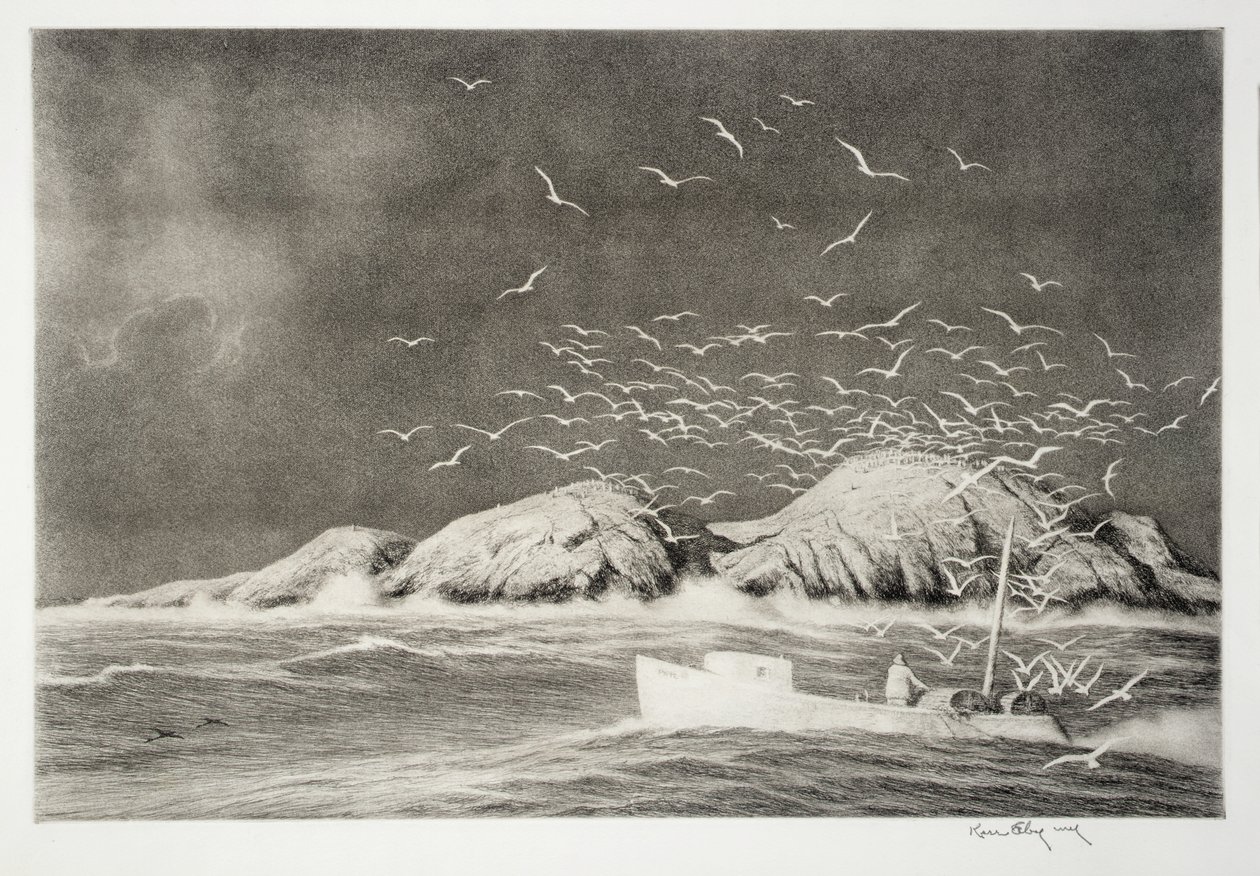 Rocher aux requins - Kerr Eby