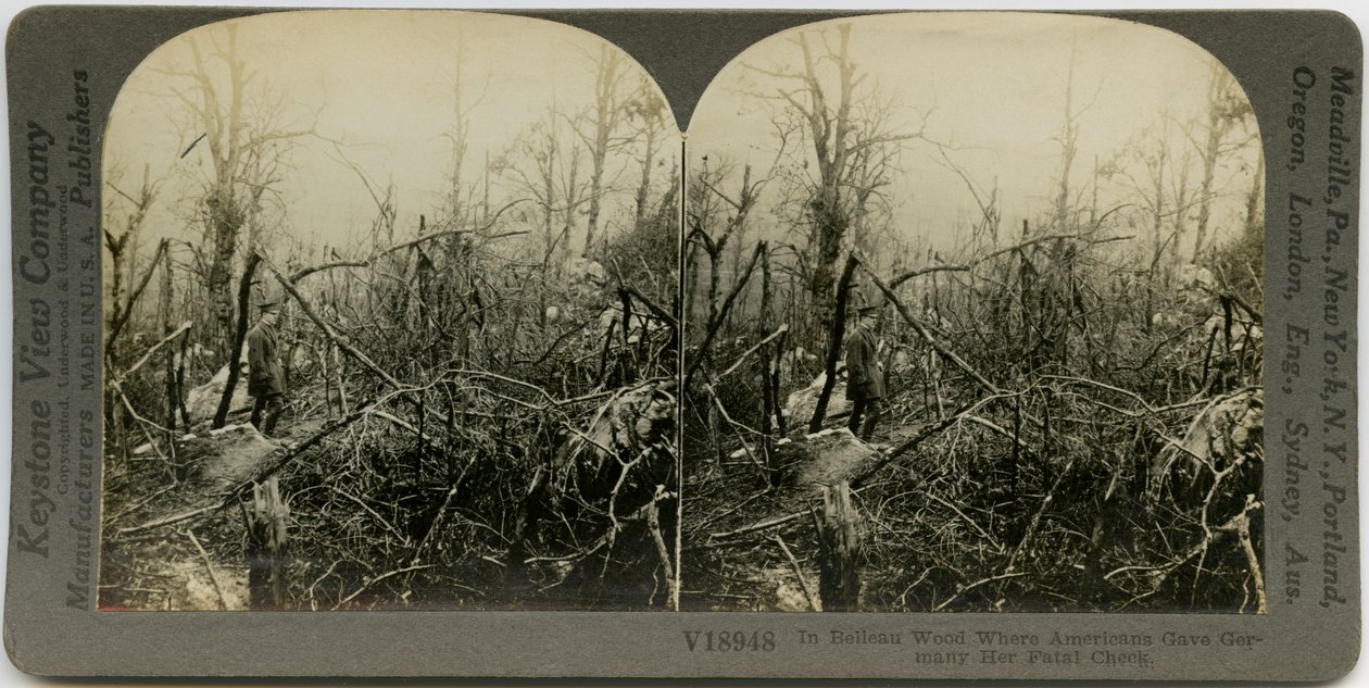 Photographie horizontale sépia stéréoscopique montrant un homme en uniforme marchant dans une zone couverte d