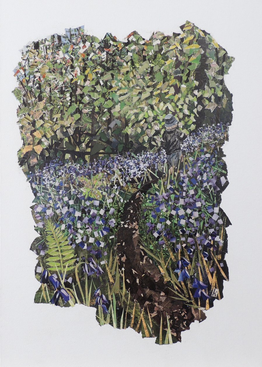Bois de jacinthes - Kirstie Adamson