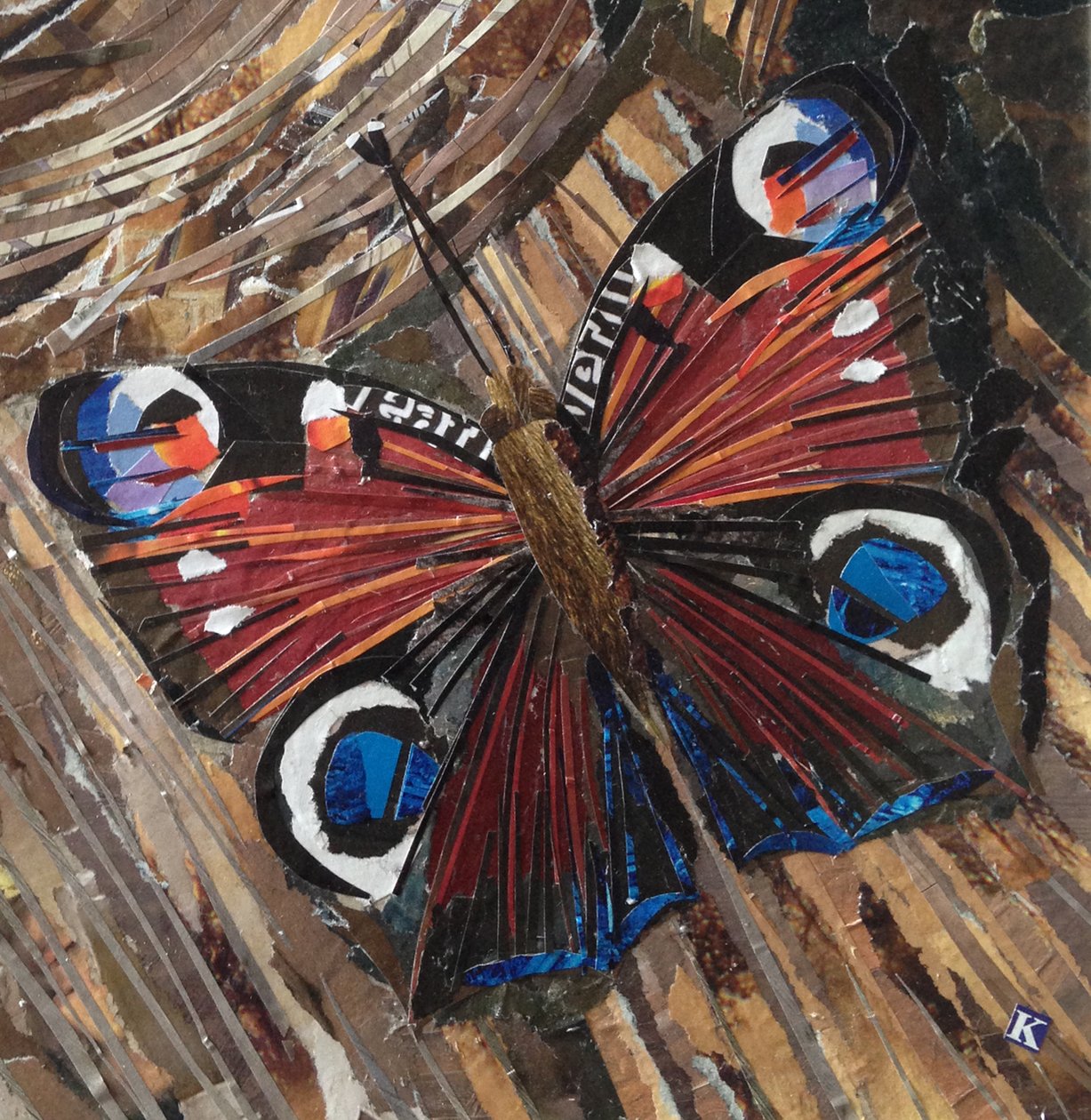 Paon éveillé sur un tas de bois - Kirstie Adamson