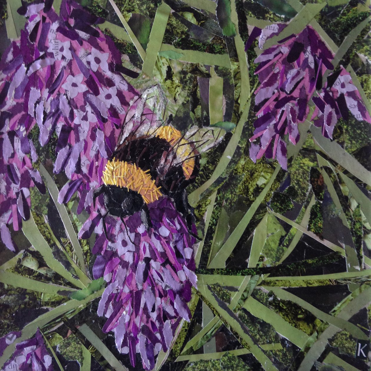 Bourdon sur lavande - Kirstie Adamson