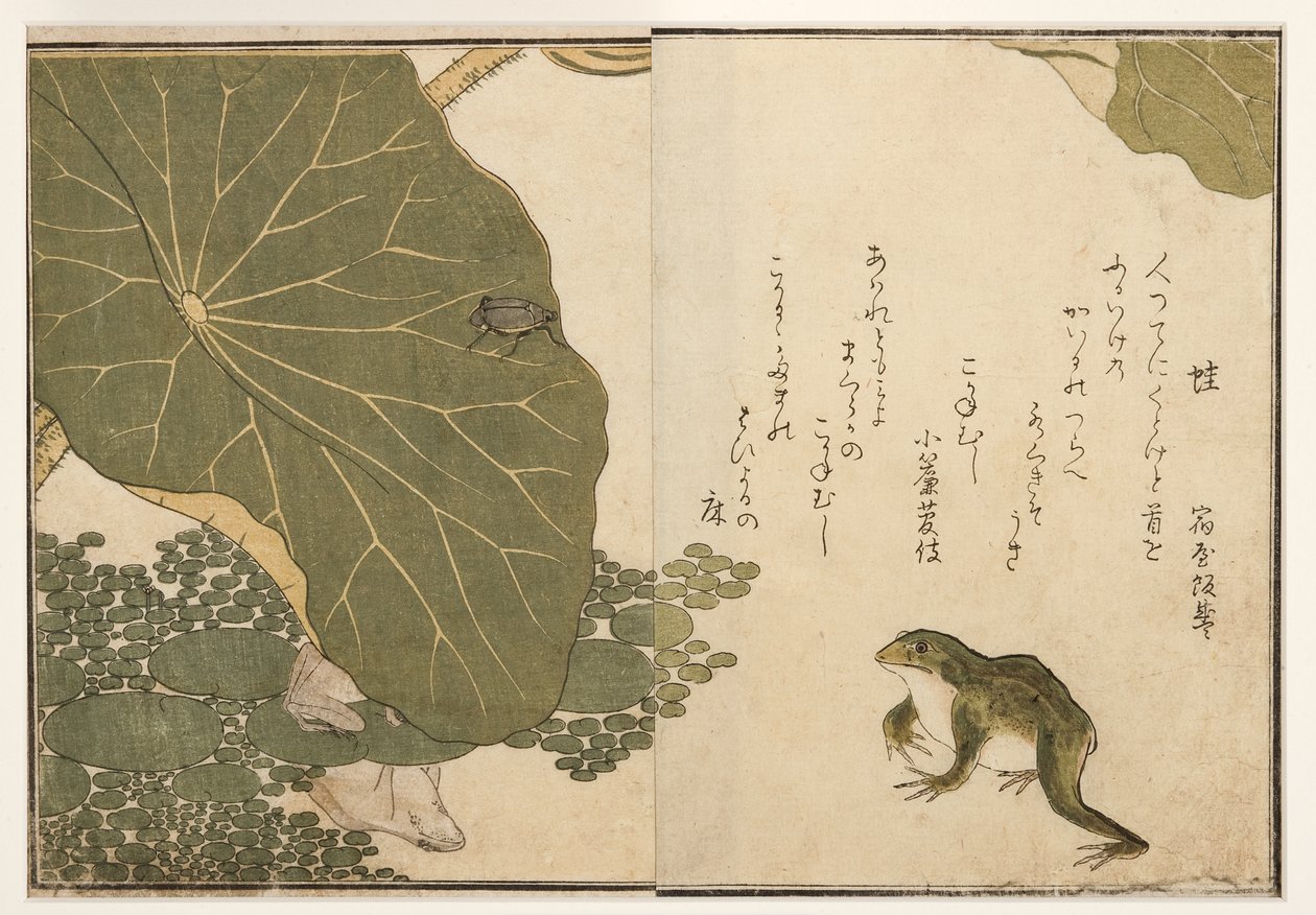 Grenouilles et insecte doré, 1788 - Kitagawa Utamaro