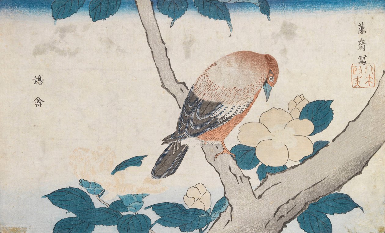 Sans titre - Kitao Masayoshi