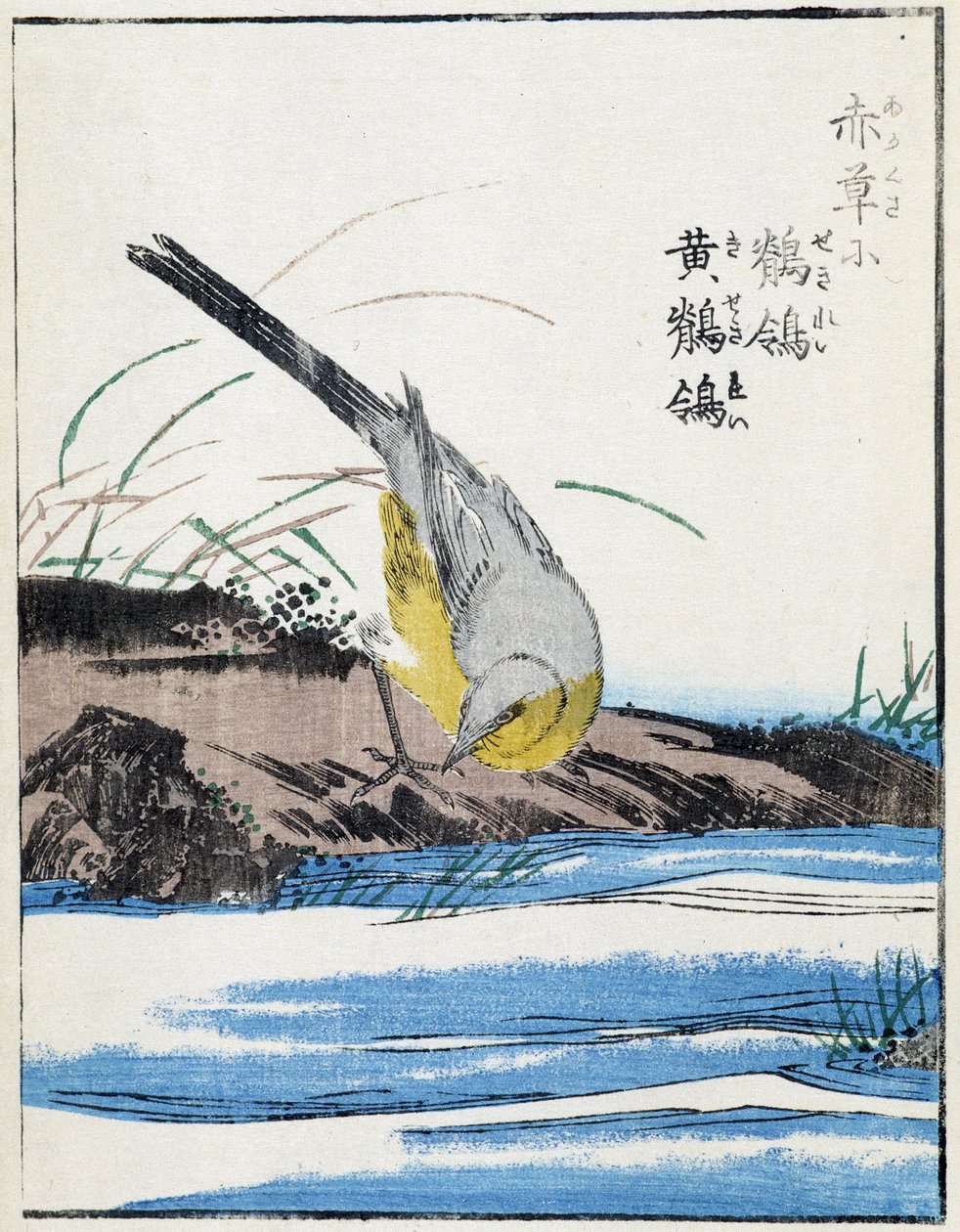 Oiseau. Dessin japonais par Kitao Kosuisai - Kitao Shigemasa