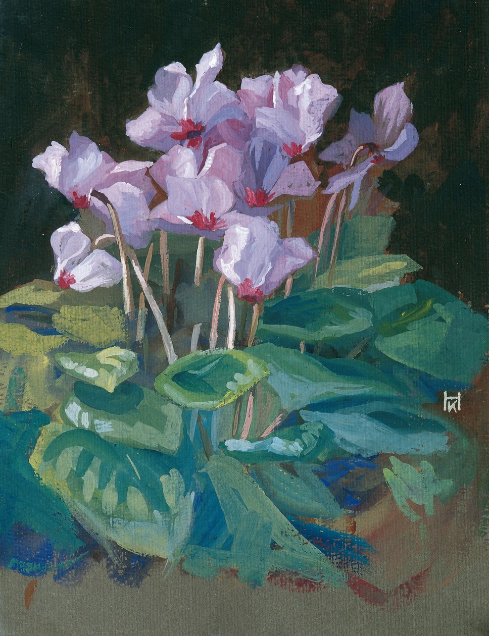 Cyclamen - Klara Hasslwander