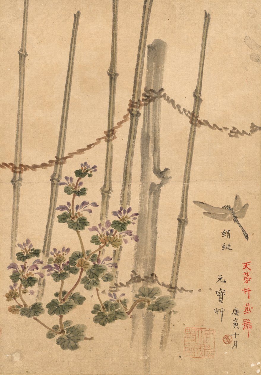 Clôture en bambou et chrysanthèmes - Kono Bairei