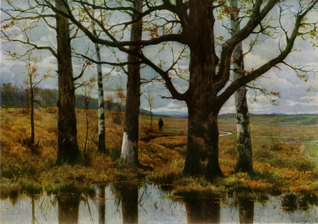 Paysage d