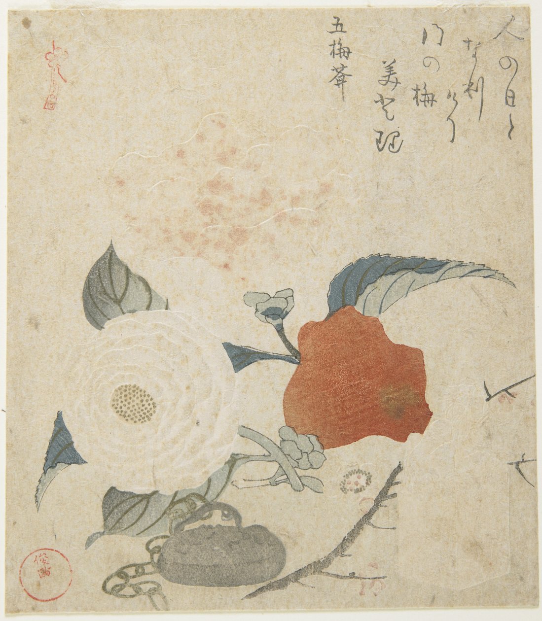 (Branche de prunier, une fleur de pivoine et un sceau en métal), 1816 - Kubo Shunman