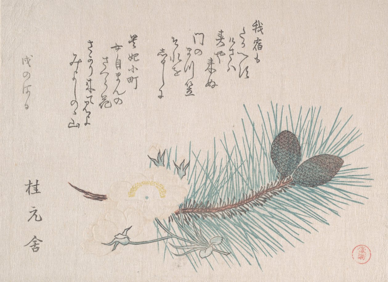 Pins et fleurs de cerisier, probablement 1814 - Kubo Shunman
