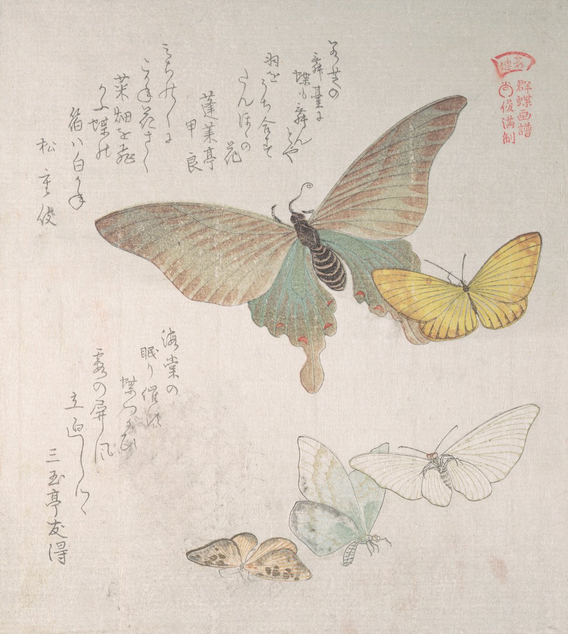 Divers papillons et mites, 19ème siècle - Kubo Shunman
