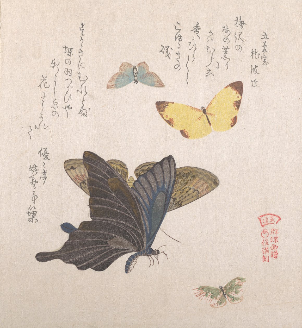 Divers papillons et mites, 19ème siècle - Kubo Shunman