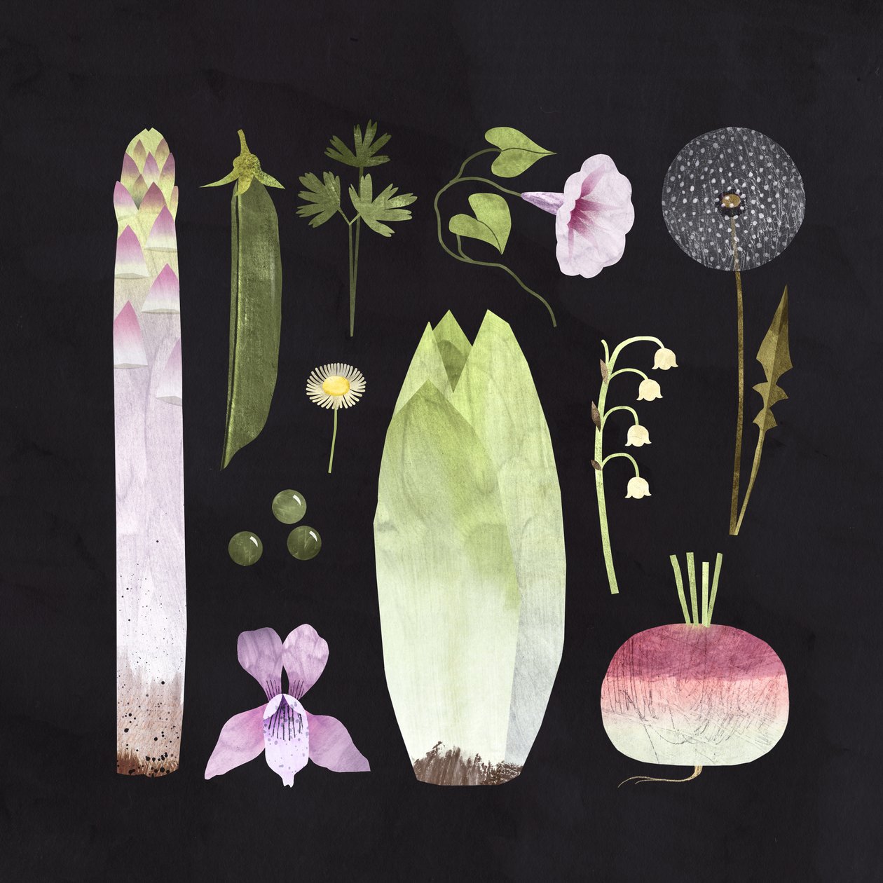 Légumes et fleurs, 2023 (numérique) - Léa Le Pivert