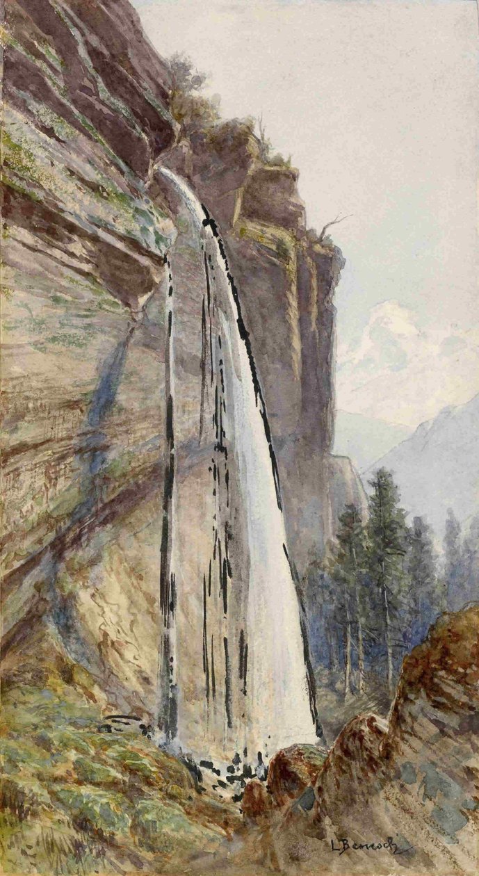 Chute d