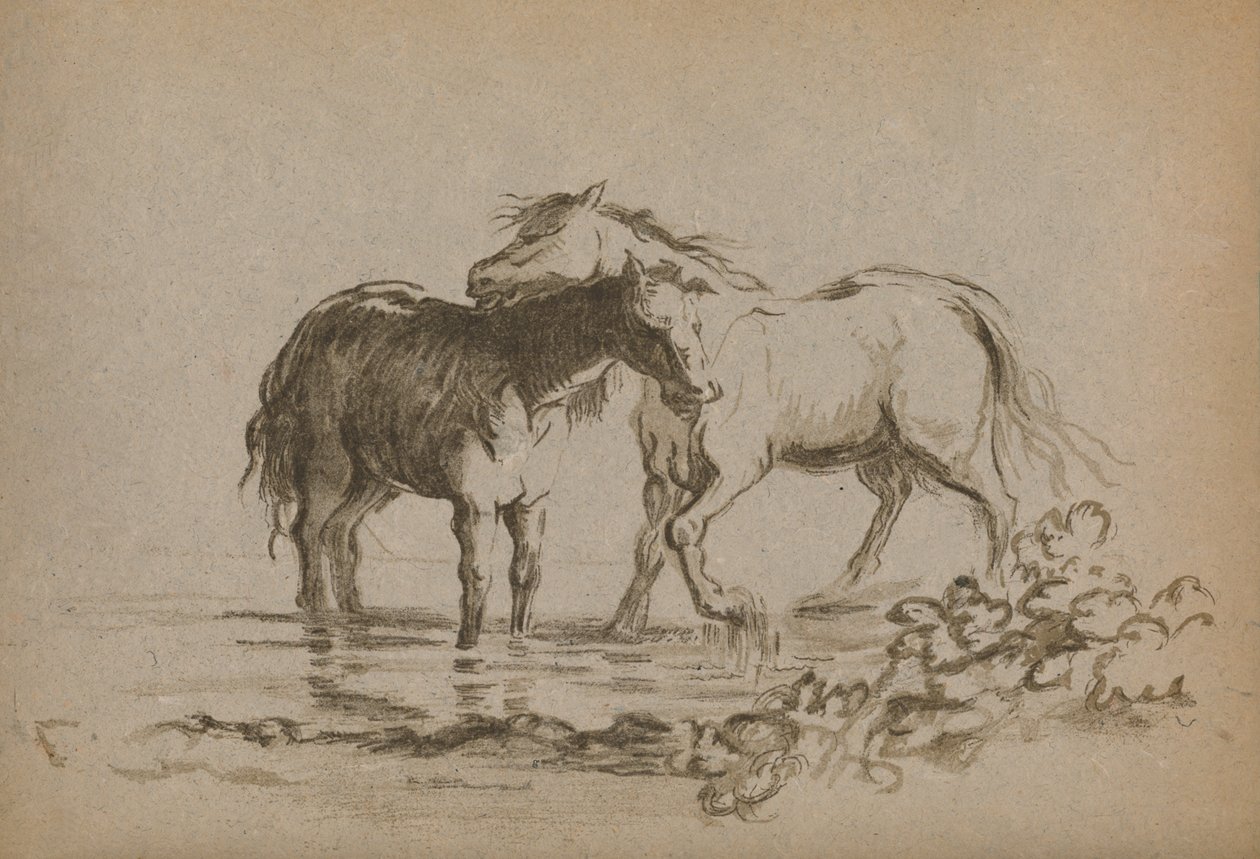 Chevaux - Lady Diana Spencer