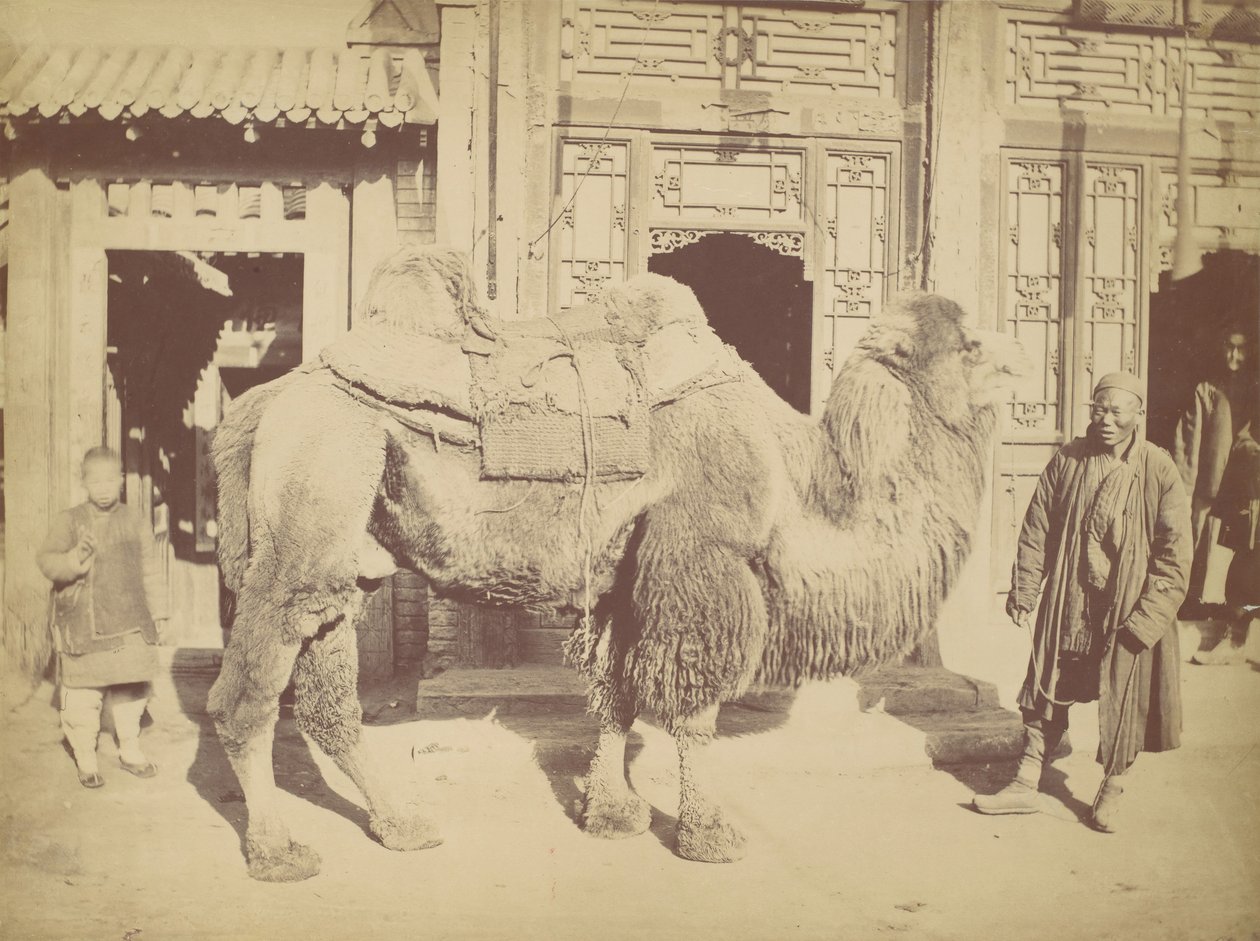 Pékin. No. 923 - Lai Fong.