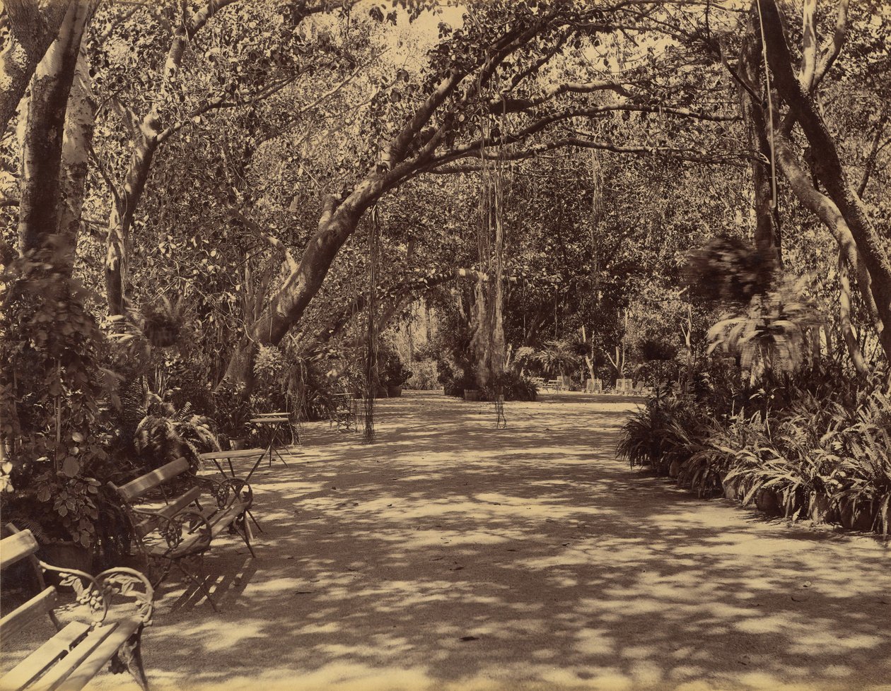 Jardin du palais Sookh-Vilas, 1880-90 - Lala Deen Dayal