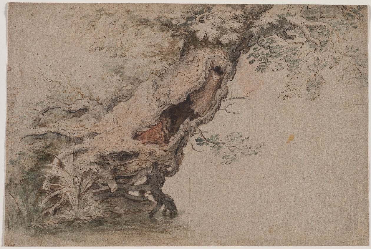 Arbre creux, d
