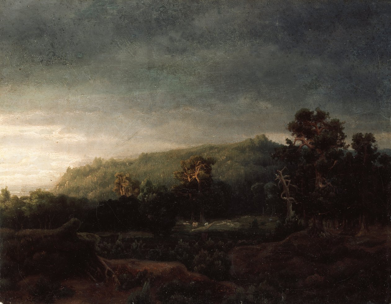Une forêt - Lars Hertervig