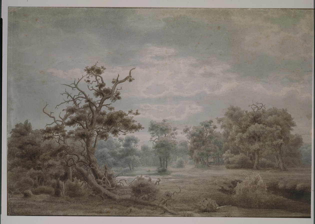 Paysage forestier de Düsseldorf - Lars Hertervig