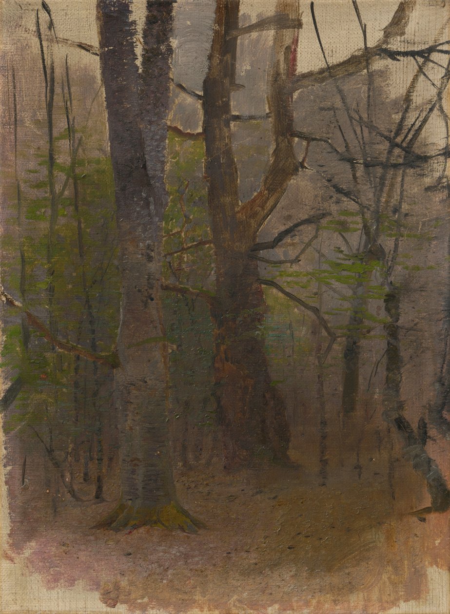Début du printemps. Forêt - Laszlo Mednyanszky