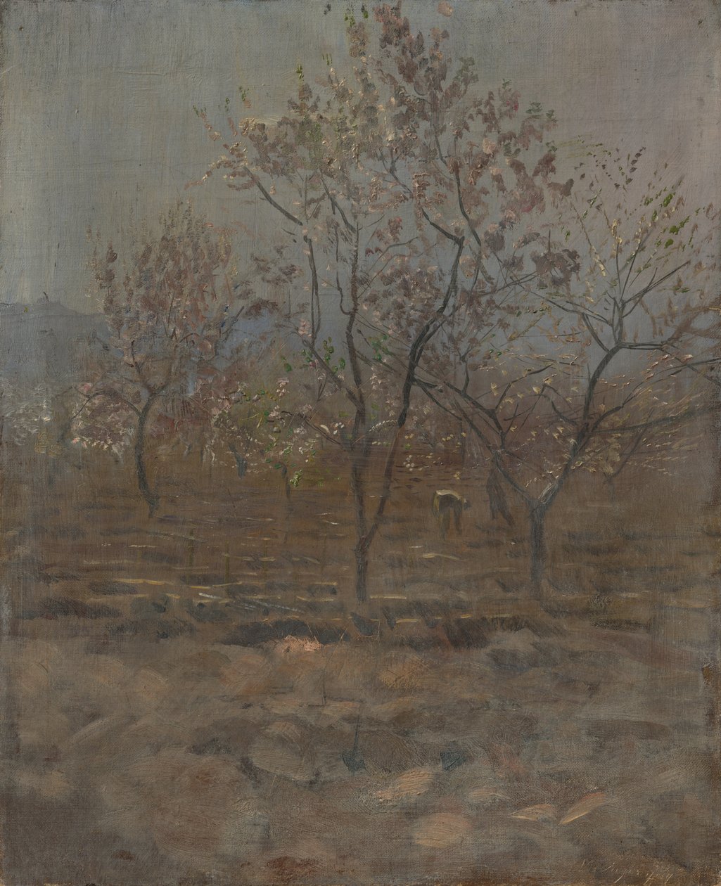 Arbres en fleurs - Laszlo Mednyanszky