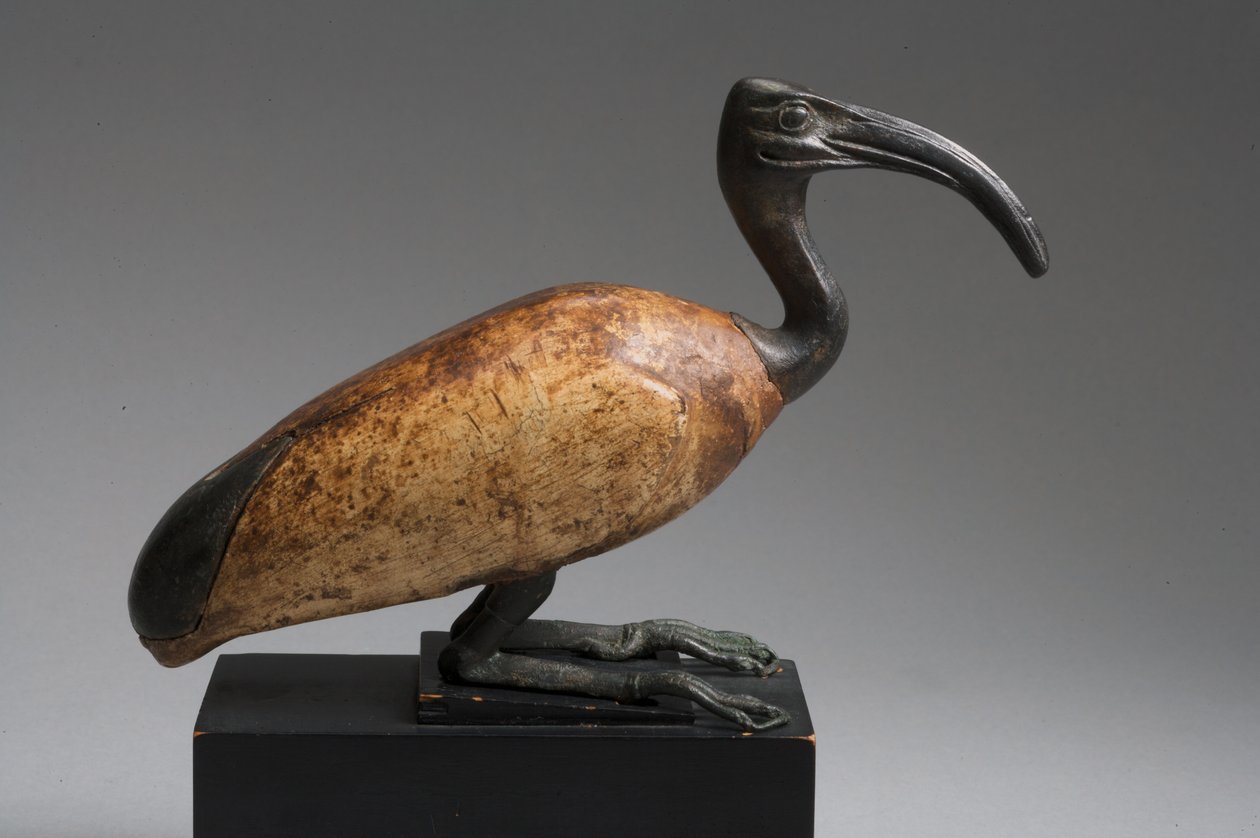 Ibis - Late Period Egyptian
