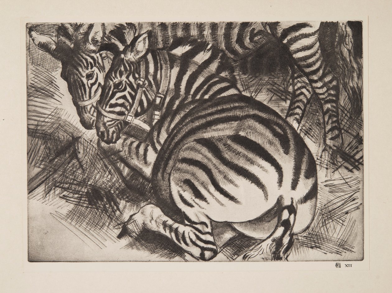 Zèbres - Laura Knight