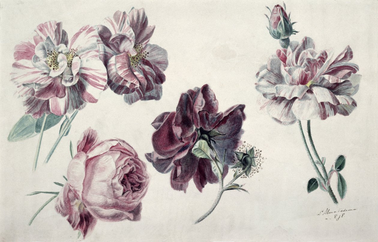 Roses - Lawrence Alma Tadema