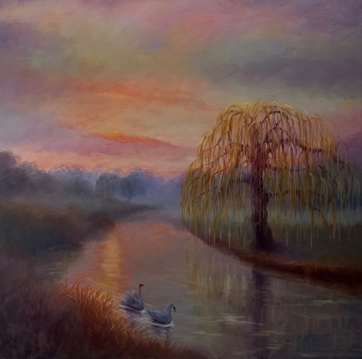 Aube brumeuse, Bushy Park, 2024 - Lee Campbell