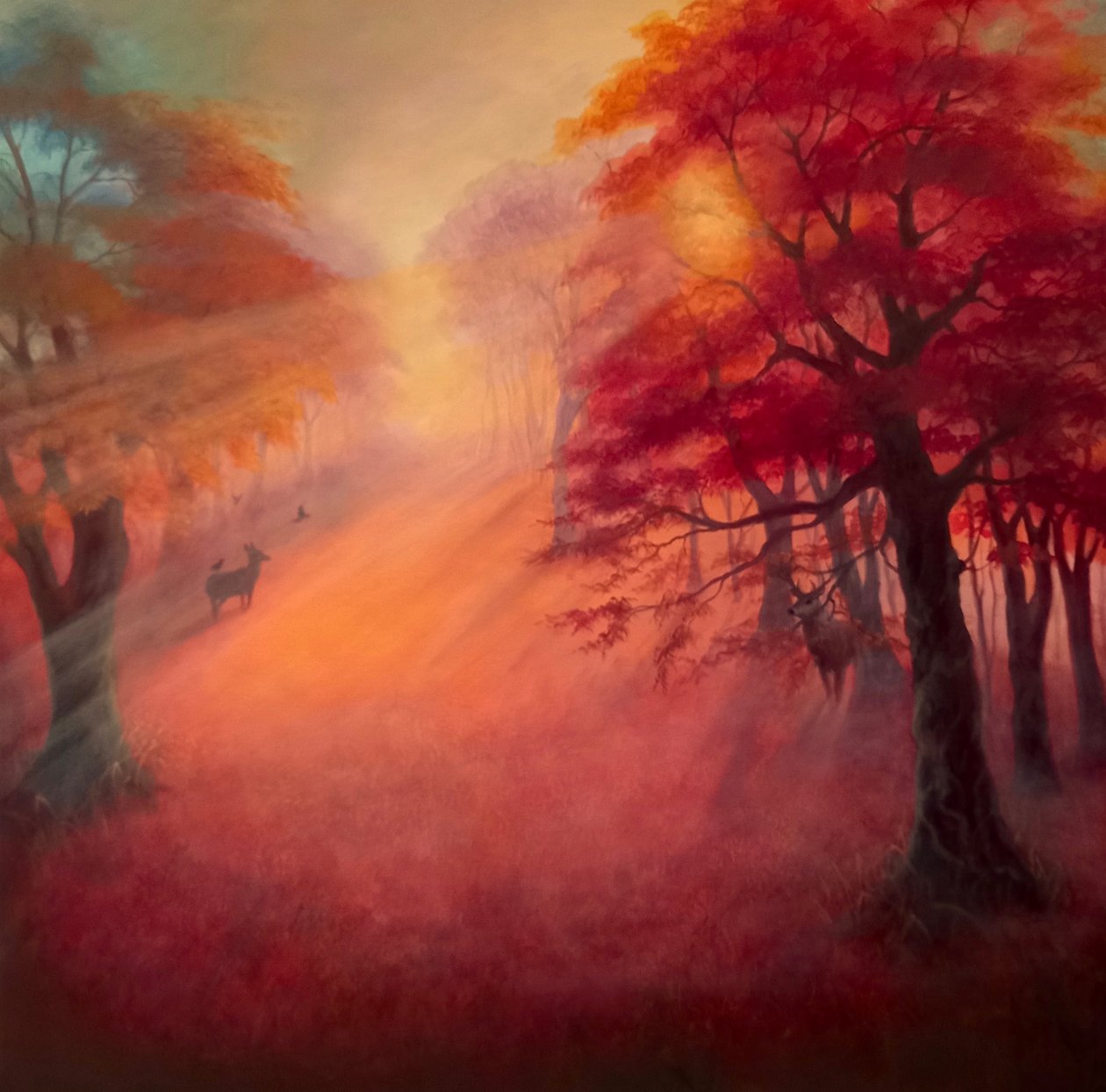 Lumière du parc, 2021 - Lee Campbell
