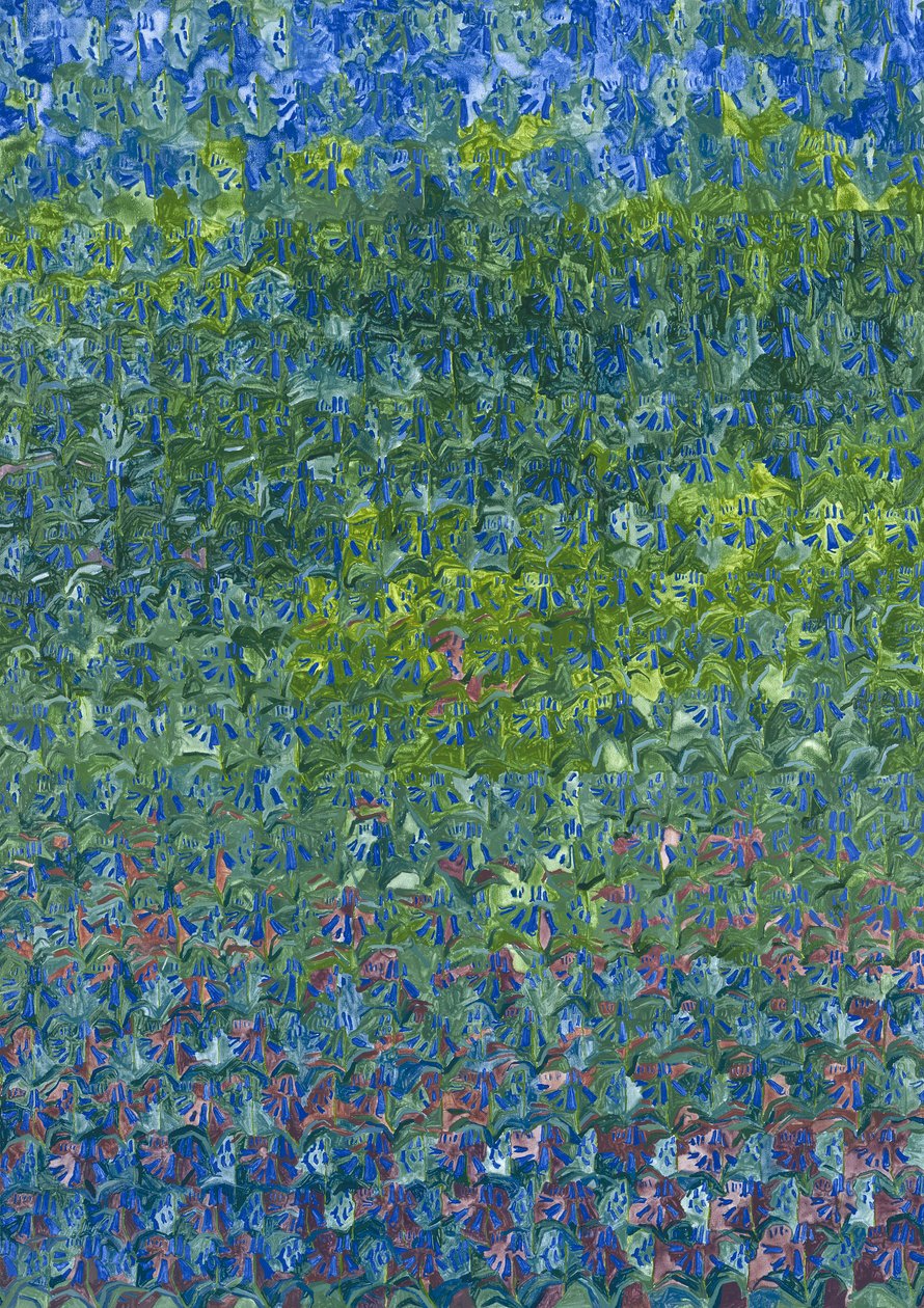 Jacinthes des bois, 2012 - Leigh Glover
