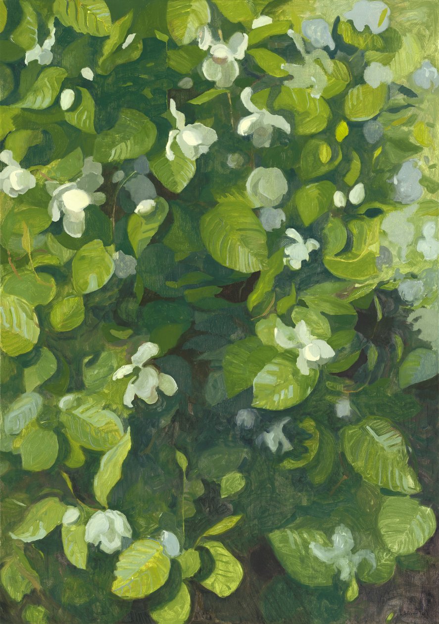 Magnolia en fleur, 2014 - Leigh Glover