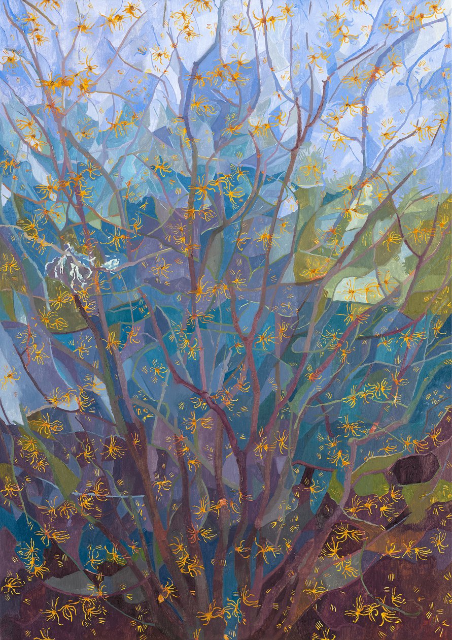 Noisetier en fleur, 2015 - Leigh Glover