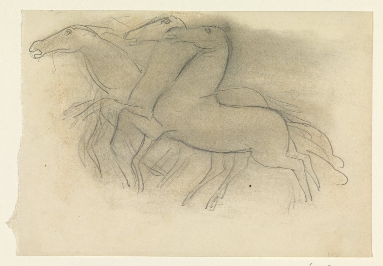 Chevaux au galop - Leo Gestel