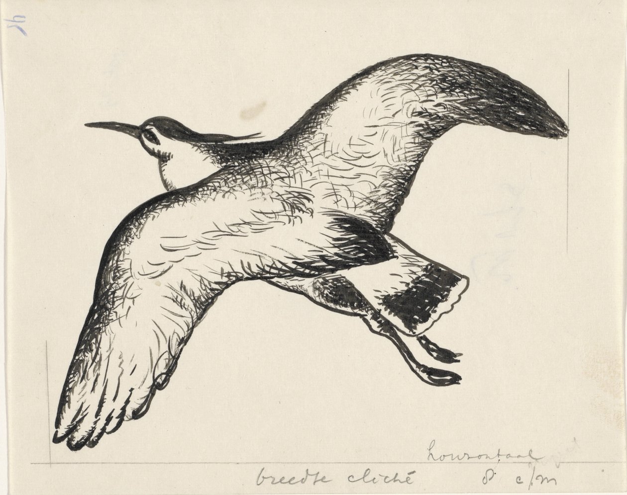 Oiseau volant - Leo Gestel