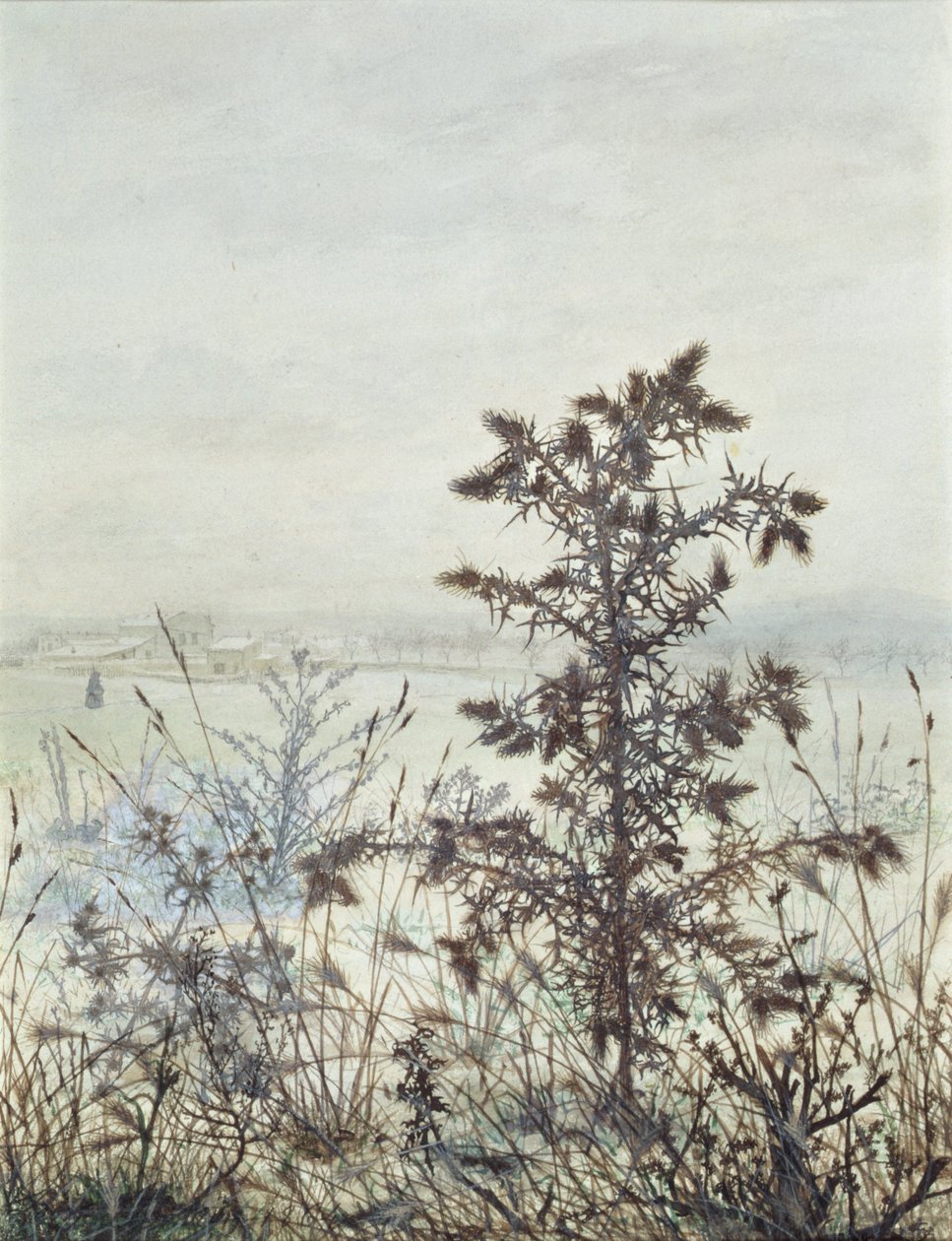 Chardons et mauvaises herbes, 1864 - Léon Bonvin