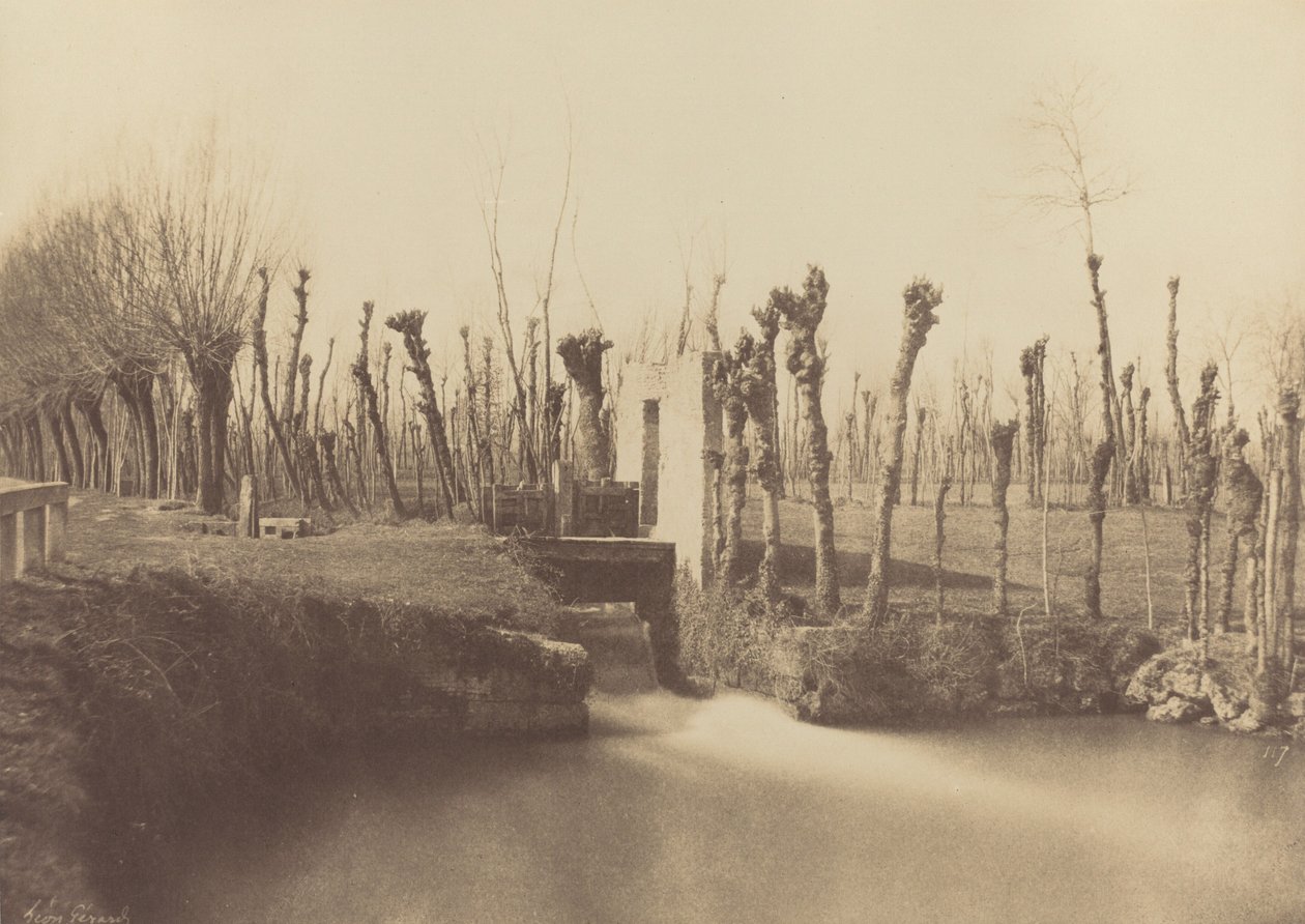Paysage, Montebello, v. 1860 (photo) - Léon Gérard