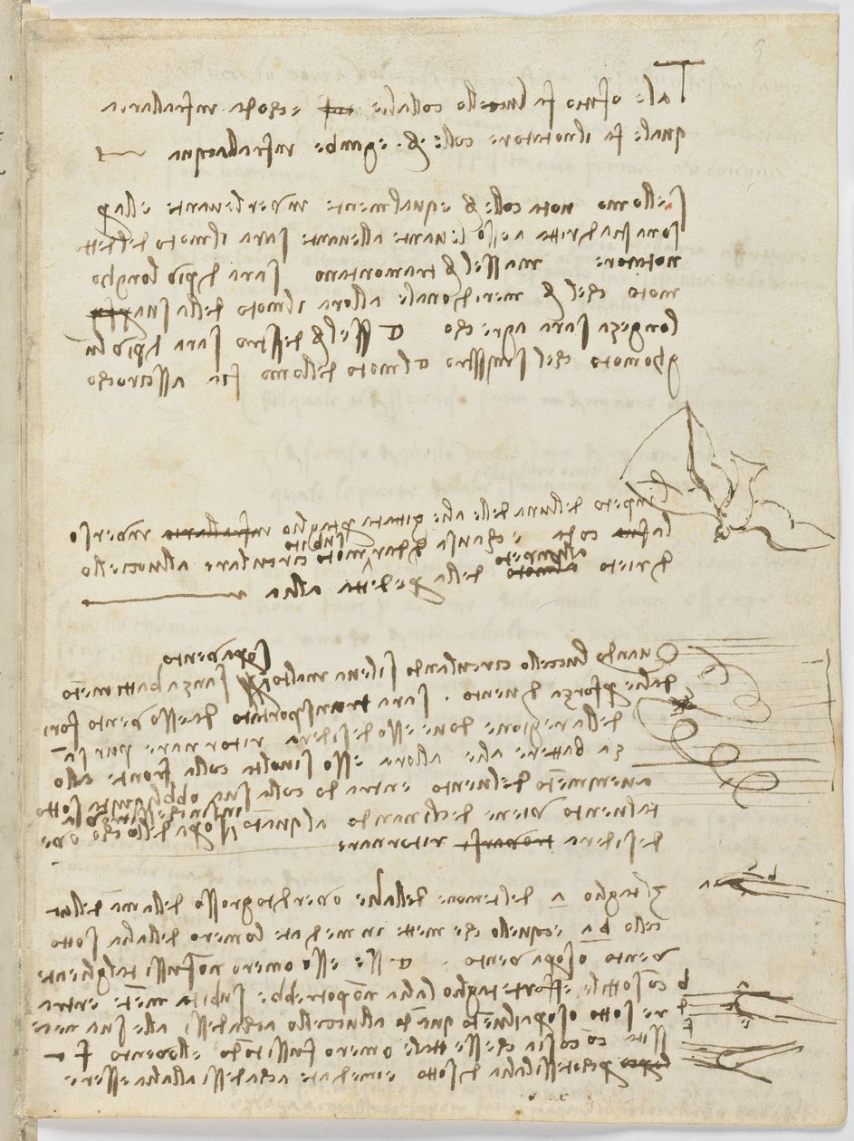 Code sur le vol des oiseaux, c. 1505-06, manuscrit sur papier, cc. 18, feuille 10 recto - Leonardo da Vinci