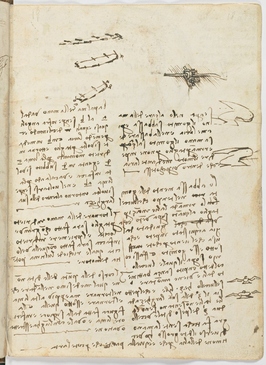 Code de vol des oiseaux, c. 1505-06, manuscrit sur papier, cc. 18, feuille 18 recto - Leonardo da Vinci