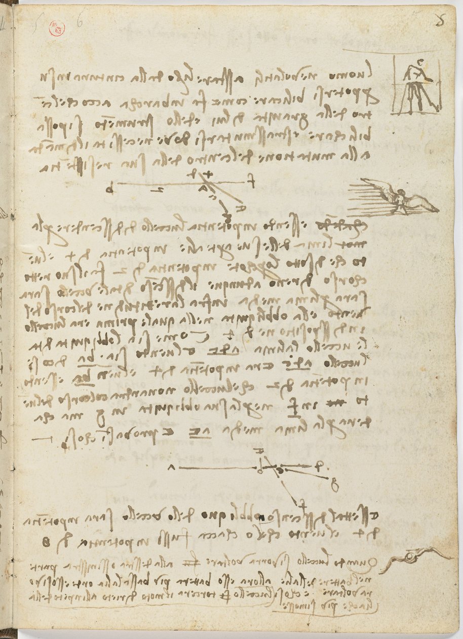 Code sur le vol des oiseaux, c. 1505-06, manuscrit sur papier, cc. 18, feuille 5 recto - Leonardo da Vinci