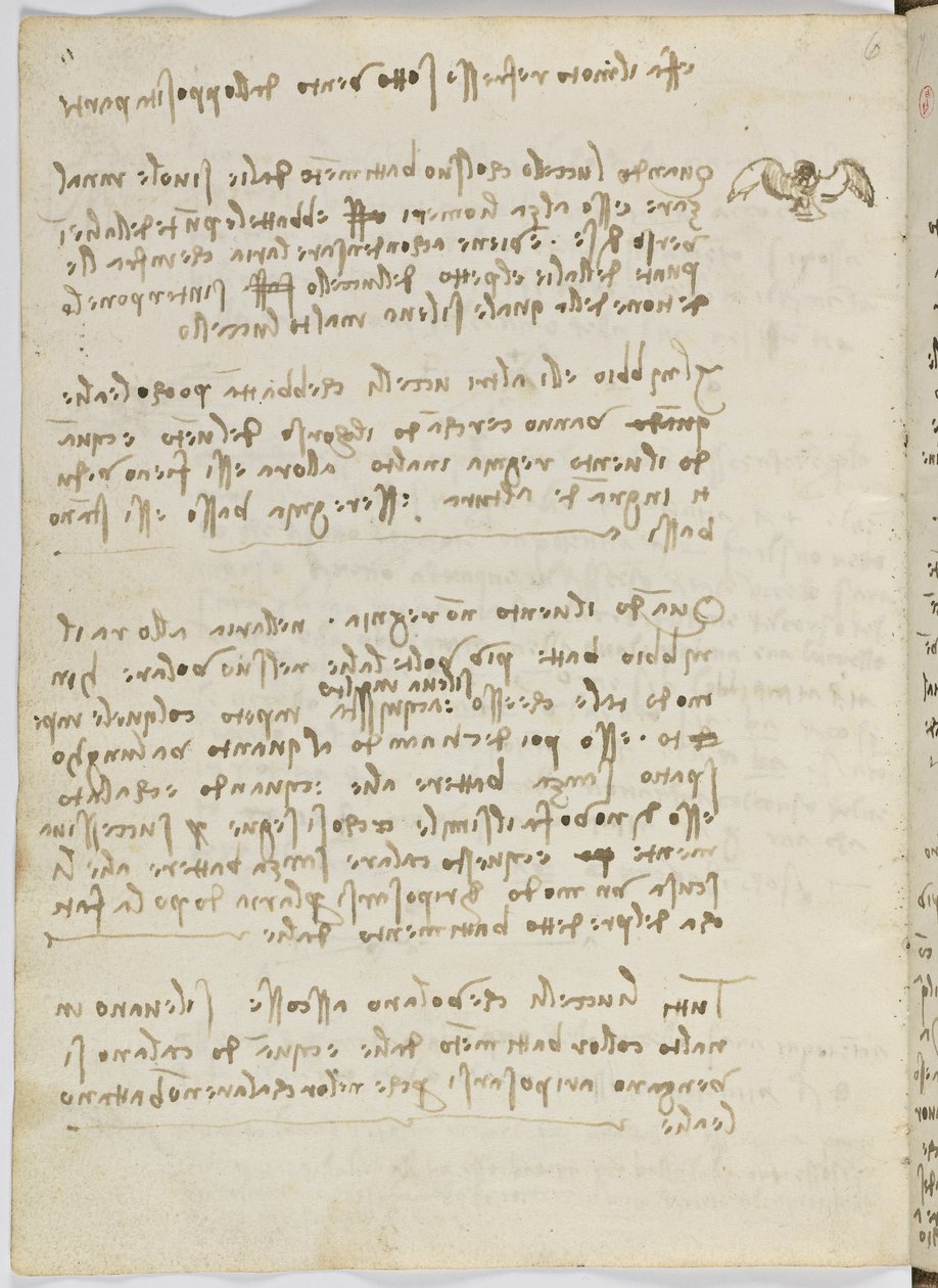 Code sur le vol des oiseaux, c. 1505-06, manuscrit sur papier, cc. 18, feuille 5 verso - Leonardo da Vinci