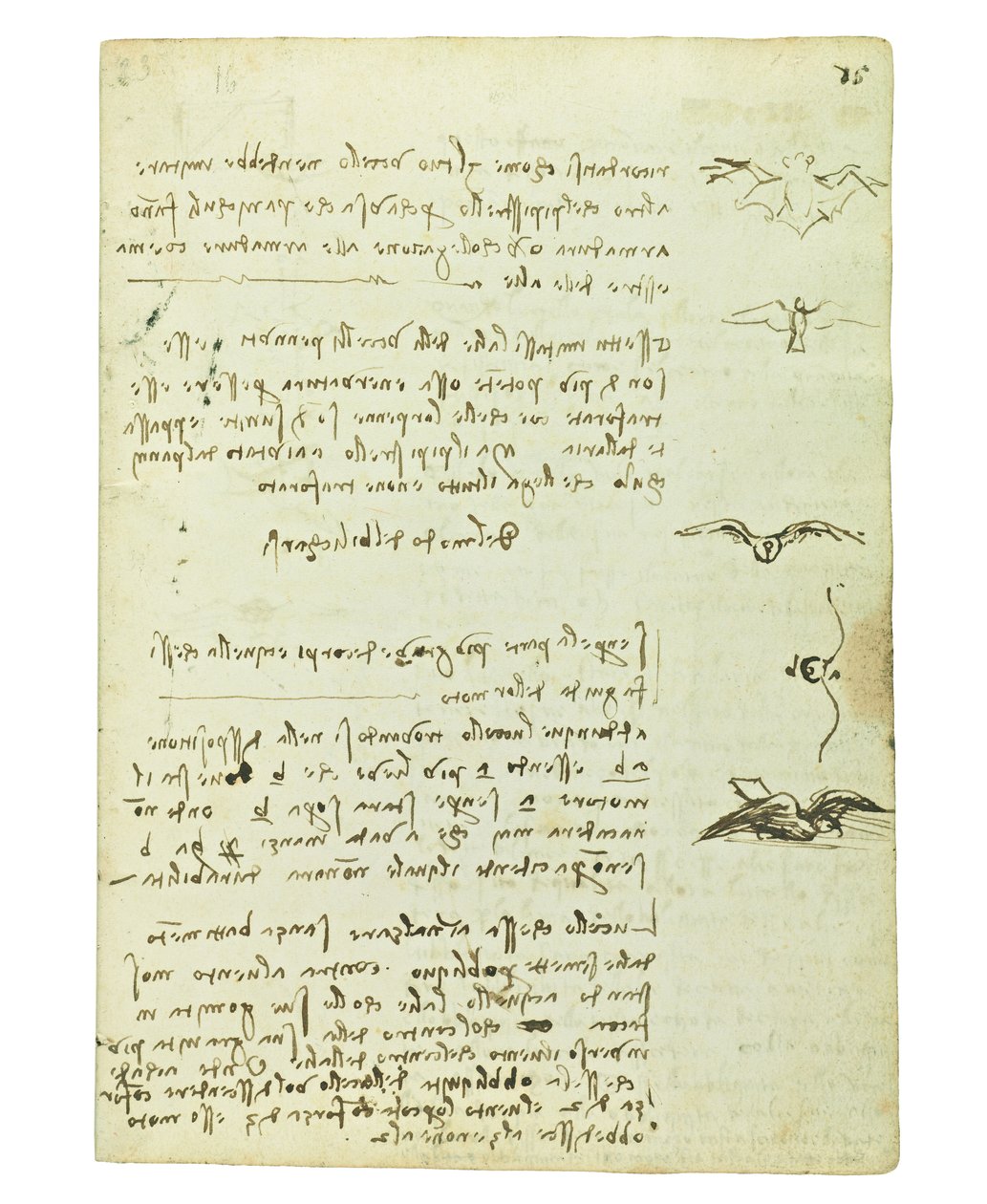 Codex sur le vol des oiseaux, Folio 15 recto - Leonardo da Vinci