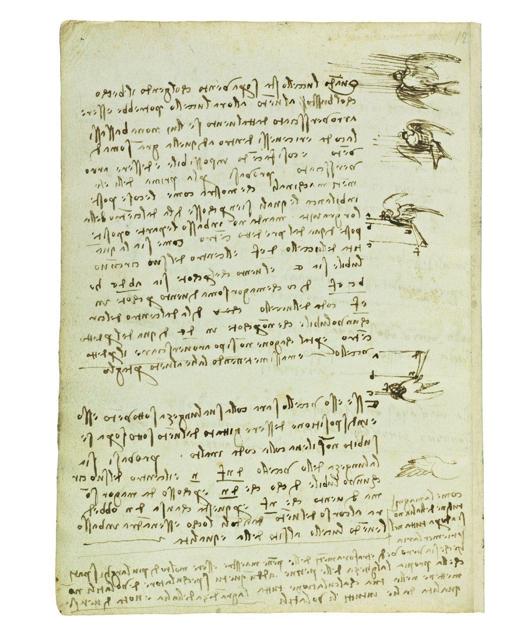 Codex sur le vol des oiseaux, Folio 8 verso - Leonardo da Vinci