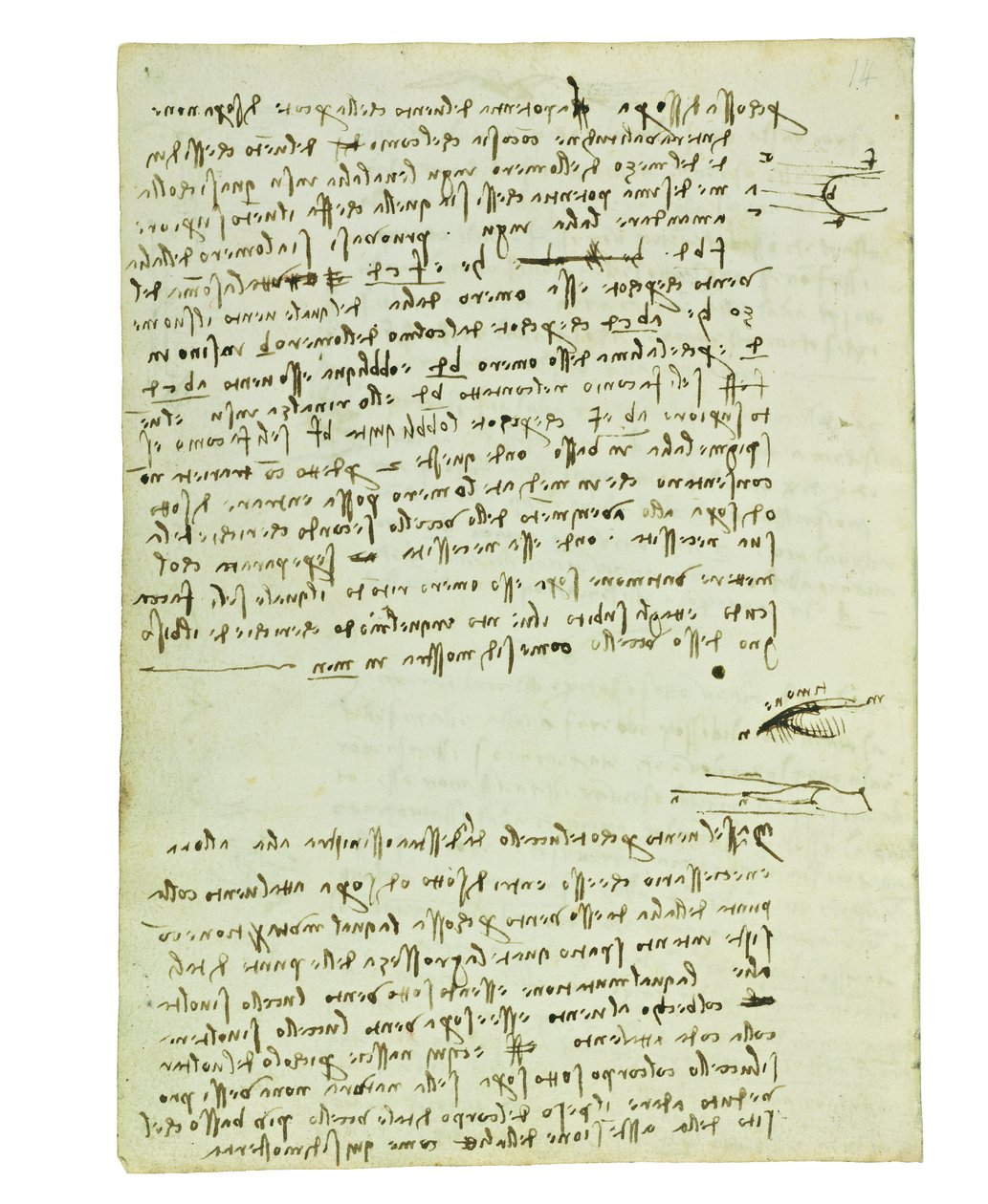 Codex sur le vol des oiseaux, Folio 9 verso - Leonardo da Vinci