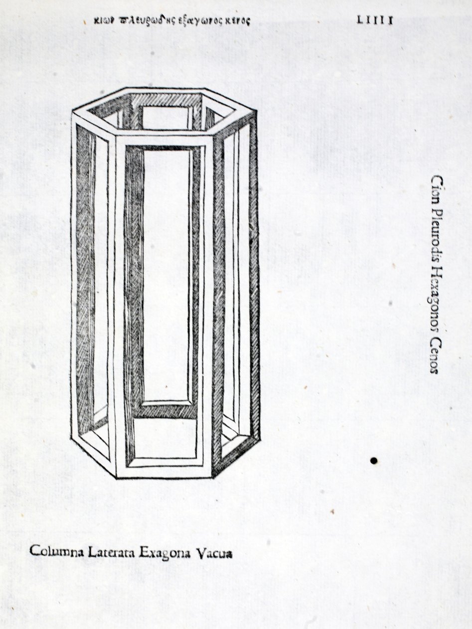 Columna laterata exagona vacua, illustration de 